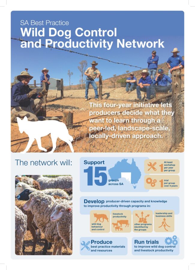 4. PIRSA Wild Dog Flyer_PRINT2_Page_1