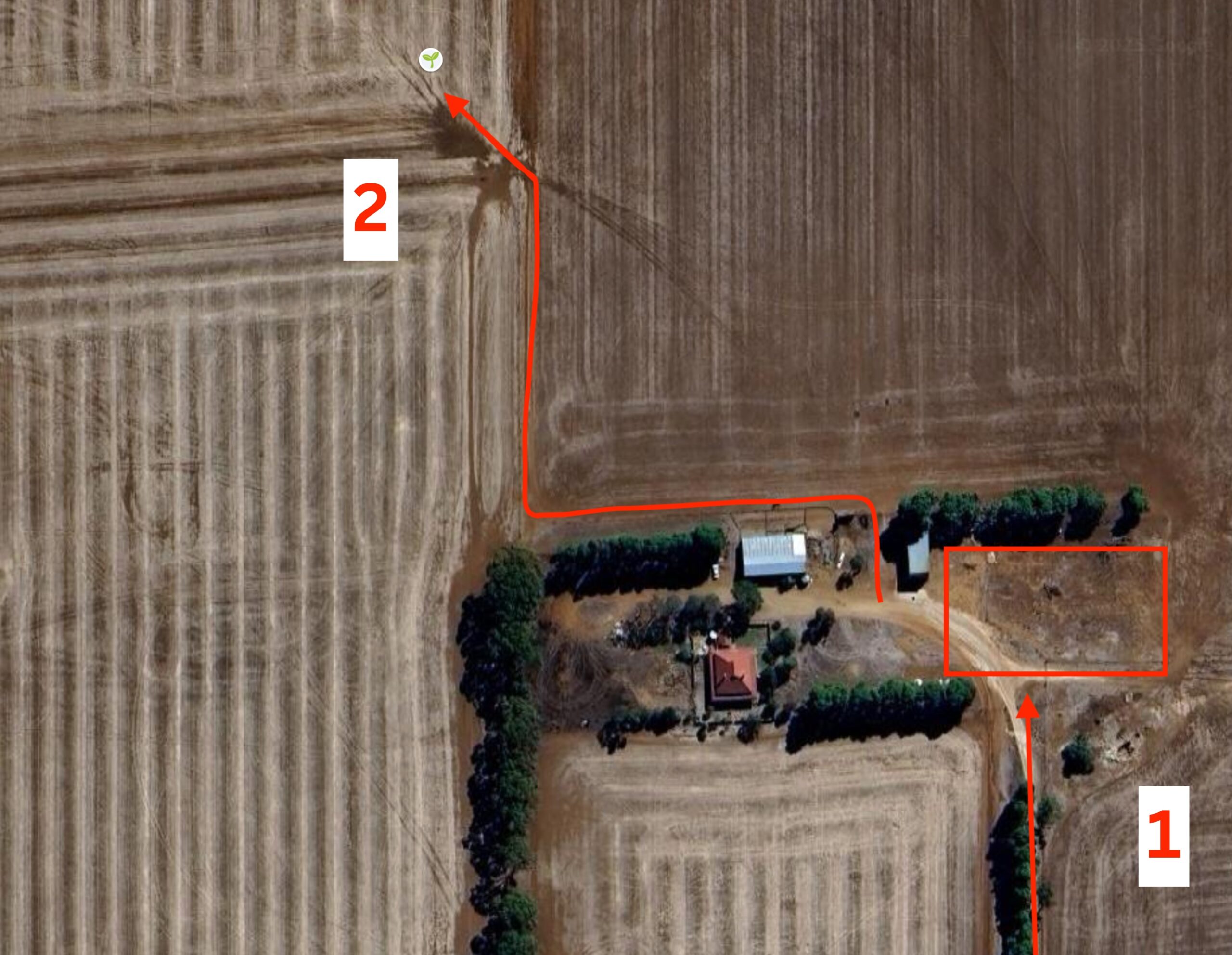Abiotic Seedling Stress in Dry Sowing Conditions Trial Site