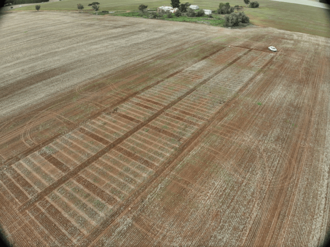 Picture1 – Heavy Soils Website Pic